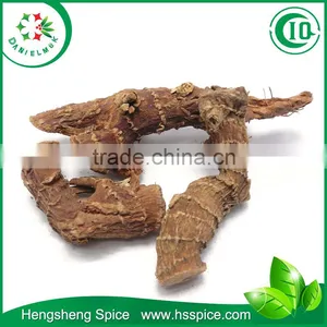 Chinese Galangal thumbnail-1