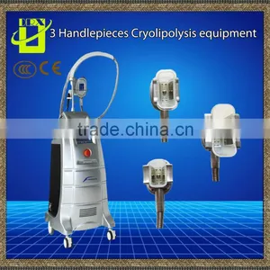 Free Shipping Vertical 3 Handle Cryolipolysis Reduce Cellulite Machine Body Contouring Non Invasive Cryolipolysis Treatment Body Contouring thumbnail-1
