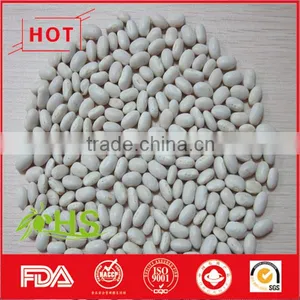 Hot Sale White Kidney Beans From China thumbnail-5