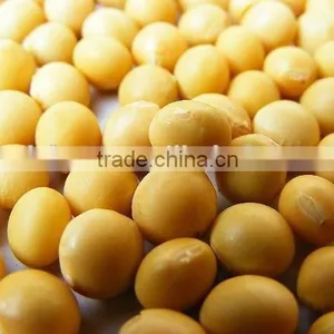 Soy Extract Soybean Peptide to Prevent Cardiovascular Disease thumbnail-2