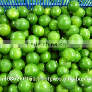 Frozen Lime Lemon Seedless From Vietnam thumbnail-1