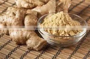 Ginger Ground thumbnail-1
