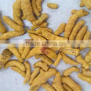 Best Quality Curcuma Longa thumbnail-1