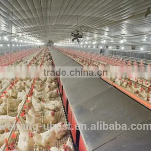 Chicken Breeding Machine / Breeder Farm Equipment thumbnail-1