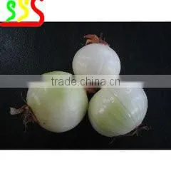 Good Performance High Productivity Onion Peeling Machine thumbnail-2