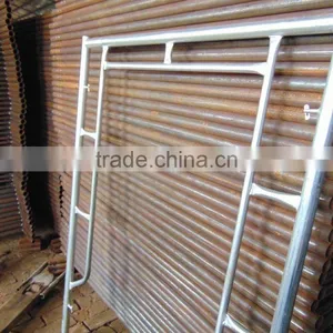 TIANJIN Building Material Zinc Coated Steel Pipe for Scaffold Export to Southeast Asia thumbnail-1