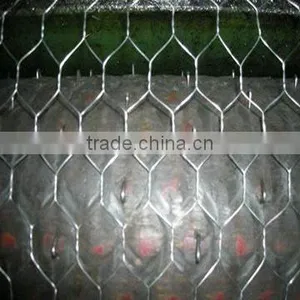 Hexagonal Wire Netting thumbnail-1
