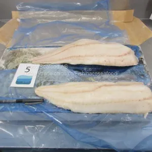 Atlantic Cod Fish, Cod Fillet, Norway Dry Stock Fish Cod HOG, Cod Bladder, HADDOCK Fish, Saithe Fish, Frozen Cod Head thumbnail-3