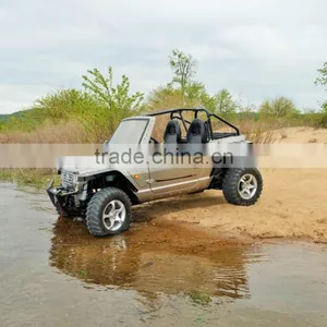 800cc Buggy Car thumbnail-1