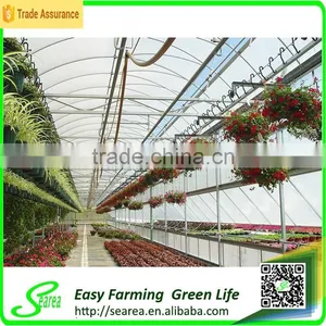 Agricultural Rodent Roof Green House for Flower thumbnail-4