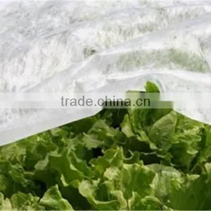 Hot Sale!Qingdao PP Nonwoven Fabric Ground Cover thumbnail-1