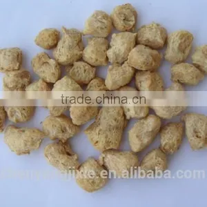 Soybean Protein Food Machine thumbnail-1