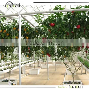 Hydroponics System for Greenhouse thumbnail-1