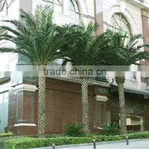Home Garden Edging Decorative 5ft to 16ft Height Outdoor Artificial Green Plastic Palm Trees EDS06 0829 thumbnail-6