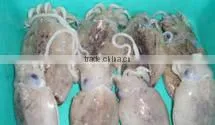 Whole Round Block Frozen Baby Cuttlefish thumbnail-1