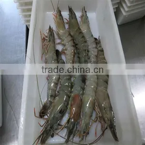 Frozen Jumbo Shrimp Recipes thumbnail-1