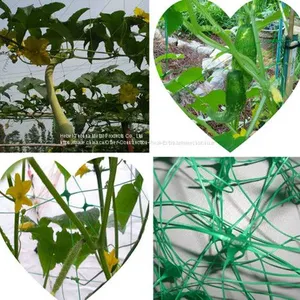 Plant Support Net thumbnail-1