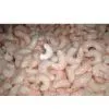 Shrimp thumbnail-1