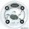 Sell Electronic Human Body Scale thumbnail-1
