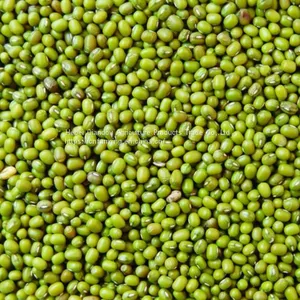Beans thumbnail-1