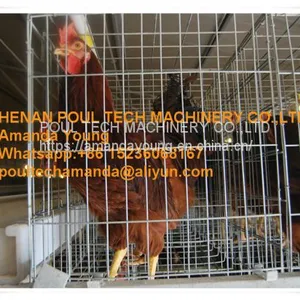 Djibouti Poultry Chicken Farm A Type Battery Breeder Chicken Cage & Breeding Layer Coop thumbnail-1