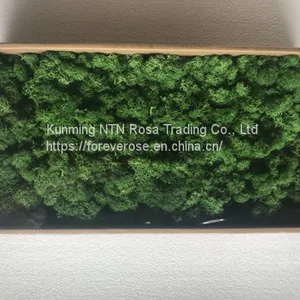 Preserved Moss Table Numbers for Weddings, Events, Nurseries thumbnail-1