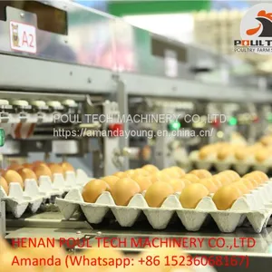 Egg Packing Machine thumbnail-5