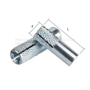 Hot Sale Galvanized Drop in Anchor for Concrete Drop in Anchor Bolt Hot Sale Galvanized Drop in Anchor thumbnail-2