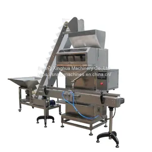 Automatic Weighing and Filling Machine thumbnail-1