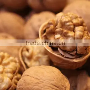 Natural Dried Walnut Nut Delicious Nuts Walnut Unshelled Walnut in Shell GRADE A NUTS for Sale thumbnail-1
