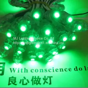 9mm 12mm 5V 12V Led Pixel Light for Advertisings Lights Outdoor Led Signs thumbnail-4
