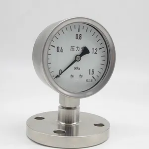 Stainless Steel Diaphragm Pressure Gauge With Shock Resistant Flange DN25 Pressure Gauge thumbnail-2