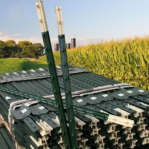 6 FT Green Color T Shape Studded Post for Barbed Wire Fence Steel Post thumbnail-2