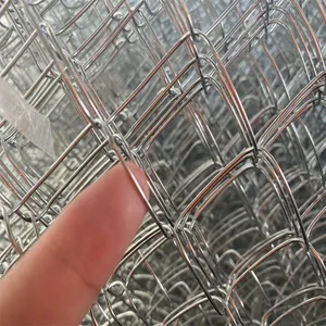 Hot Dipped Galvanized Cyclone Wire Mesh 8 ft Chain Link Fence Roll Pvc Chain Link Fence thumbnail-5