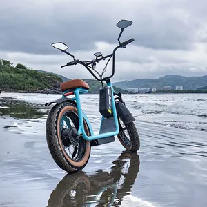 Two Wheels 1000W 20inch Fat Tire Electric Scooter thumbnail-4