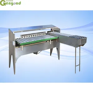 Automatic Egg Grading Machine Egg Grader Automatic Chicken Egg Sorting Machine thumbnail-5