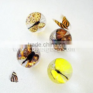 Professional Wholesale Plastic Bubble Ball Bearing for Christmas Gifts thumbnail-5
