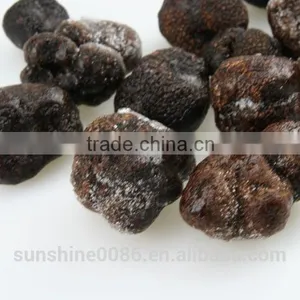 Black Truffle in Yunnan thumbnail-2