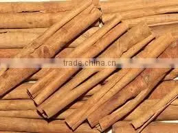 Nice Vietnames Tube Cassia thumbnail-1