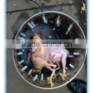 Chicken Feet/Paws Peeling Machine thumbnail-6