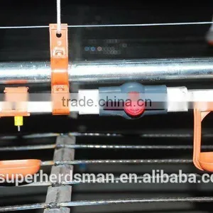 Chicken Poultry Breeder Equipments thumbnail-2