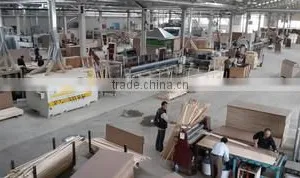 Sdf Dis Ticaret Limited Sirketi company overview - view 3 thumbnail