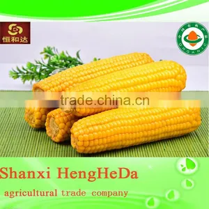 National Flag Perfect Corn thumbnail-1