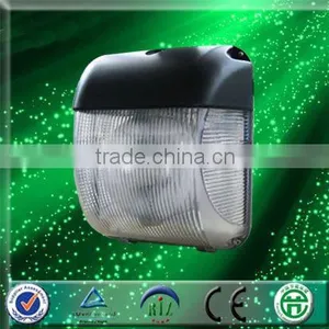 Wall Pack With Magnetic Induction Lamp thumbnail-1