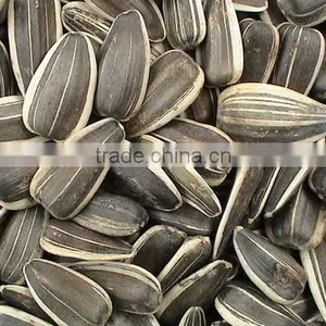 Cheap Sunflower Seeds for Animal Feed thumbnail-1
