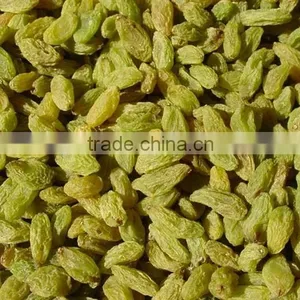 China Hot Sale AD Sweet Dried Green Raisins for Sale thumbnail-3