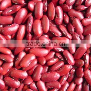 We Are Supply Kidney Beans, Dark Red Kidney Beans for Sale thumbnail-4