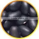 Black Kidney Bean(big Size) thumbnail-1