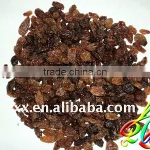Chinese Organic Raisin thumbnail-1