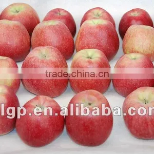 Red Star Apple thumbnail-1